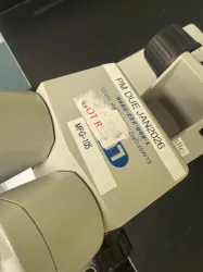 Luxo Stereo Microscope with Adjustable Binocular Eyepieces and External Fiber Optic Illuminator, 2 of 3