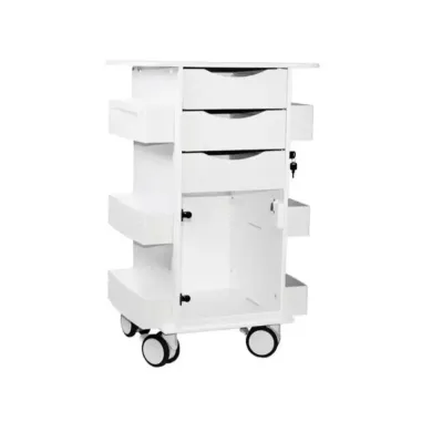 TrippNT Core DX Corrosion-Resistant Laboratory Storage Cart with Hinged Door and Locking Drawers