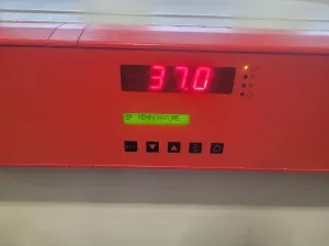 BINDER KB-115 Refrigerated Incubator/Drying Oven, 3 of 7