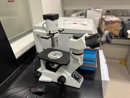 Olympus CKX41 Inverted Microscope-cover