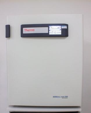 Thermo Heracell VIOS 250i CO2 Incubator 255L Stainless Steel Dual-Probe-cover