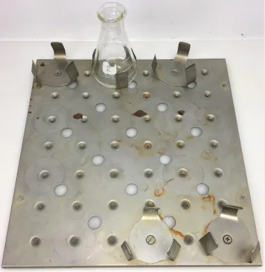 Flask Holder Platform Attachment with 5 x 125 mL Flask Clamps, 12" x 11.5"