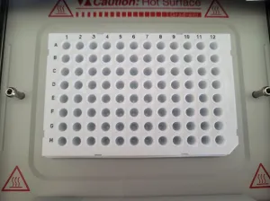 Thermocycler Eppendorf Mastercycler Ep Gradient S Realplex 2, 7 of 7