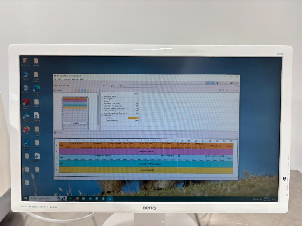 ProteinSimple Wes Automated Capillary-Based Simple Western Immunoassay System