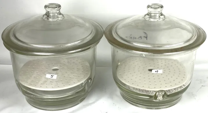 Corning PYREX 3081-250 Glass Desiccator with Support Plate, 10.5L Capacity
