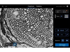 Thermo Fisher EVOS M3000 Phase Contrast and Fluorescence Microscope Imaging System, 8 of 21