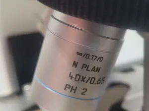 Leica DM2000 Upright Compound Microscope with 3 Infinity-Corrected Objectives, 10 of 12