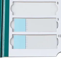 Globe Scientific 20-Place Cardboard Microscope Slide Mailer 513002, 13 of 23