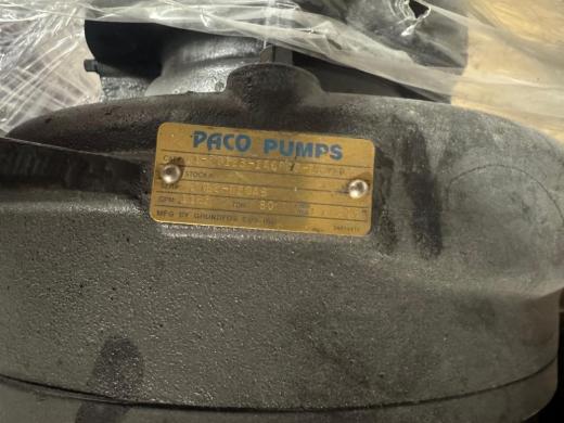 Paco Pumps Model 11-50123-1A6P66-168PP Industrial Centrifugal Pump with Cast Iron Casing-cover