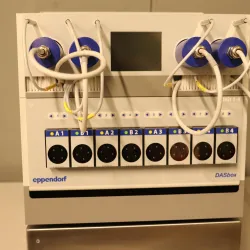 Eppendorf DASbox DASGIP Mini Bioreactor System for Parallel Small-Volume Cell Culture Process Development, 8 of 26