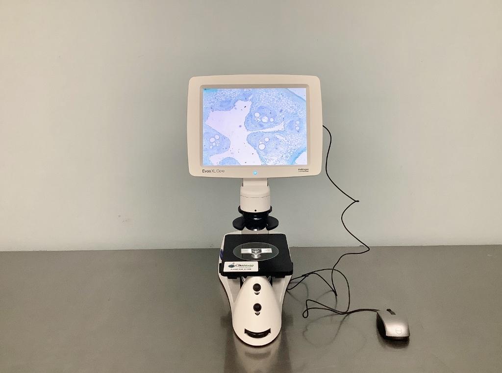 Thermo Fisher Scientific EVOS XL Core Digital Inverted Microscope for Cell Culture Imaging