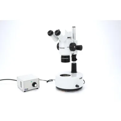 Leica M8 Stereomicroscope Plan 1x 20x/13