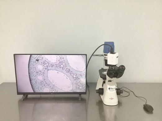 Accu Scope EXI-310 Inverted Phase Contrast Microscope with TrueChrome Metrics Camera-cover