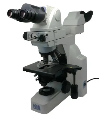 Nikon Eclipse E400 Compound Microscope with Dual Head Bridge and Oil Immersion Objective