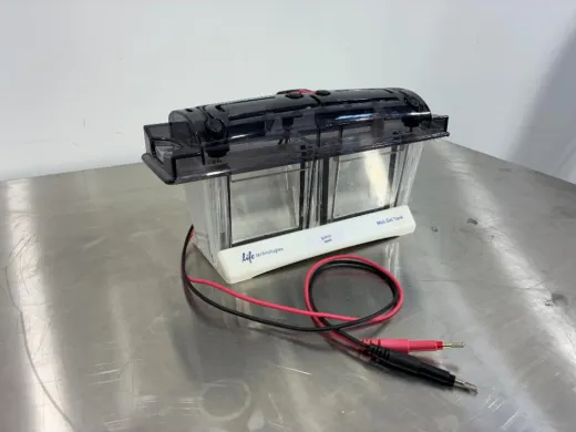 Life Technologies Bolt Mini Gel Electrophoresis Tank with Integrated Electrodes