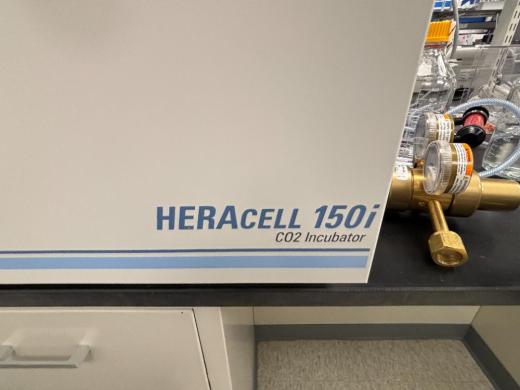 Thermo Fisher Scientific HERACELL 150 i GP Floor-Standing CO2 Incubator-cover