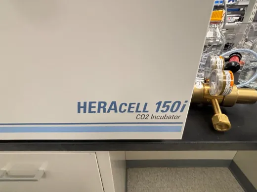 Thermo Fisher Scientific HERACELL 150 i GP Floor-Standing CO2 Incubator