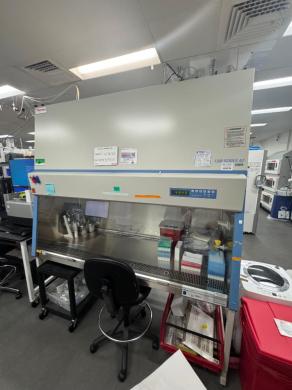 Thermo Scientific 1300 Series A2 6-Foot Class II Biosafety Cabinet Model 1377-cover