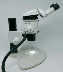Leica Microscope MZ6 with Tilting Head and Illuminator, 5 of 10