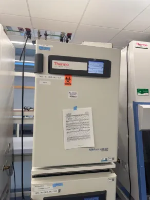 Thermo HERAcell vios 160i Double Stack CO2 Incubator