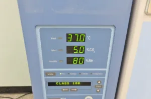 Thermo Scientific Steri-Cult CO₂ Humidity-Controlled Cell Culture Incubator Model 3307 / 3310, 11 of 24