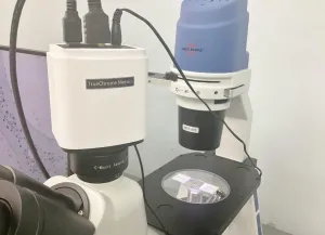 Accu Scope EXI-310 Inverted Phase Contrast Microscope with TrueChrome Metrics Camera, 7 of 13