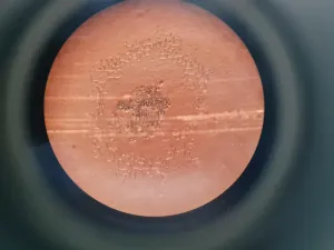Motic AE21 Series Trinocular Inverted Microscope with Objectives, 24 of 28