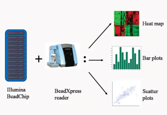 Illumina Infinium HumanMethylation450 BeadChip
