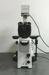 Olympus IX71 Inverted Microscope with Fluorescence and Phase Contrast, 3 of 10