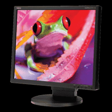 NEC E905 19-Inch Monitor-cover