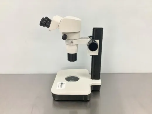Stereo Zoom Microscope with Binocular Head and Manual Zoom Control for Upright Sample Observation