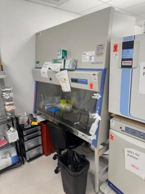 Thermo Fisher Scientific 1300 Series A2 Model 1353 Class II A2 Biosafety Cabinet, 5-Foot Work Area-cover