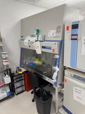 Thermo Fisher Scientific 1300 Series A2 Model 1353 Class II A2 Biosafety Cabinet, 5-Foot Work Area