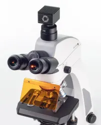 Motic Panthera C2 W/ FLED Modular Fluorescence Microscope with LED and Halogen Illumination, 2 of 3