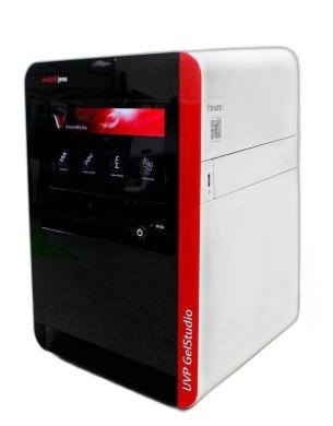 Analytik Jena UVP GelStudio Touch DNA Gel Imaging System with Integrated Computer and Software-cover