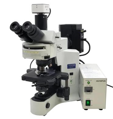 Olympus BX41 Fluorescence Microscope with FISH Capability, Trinocular Head, and Digital Camera-cover