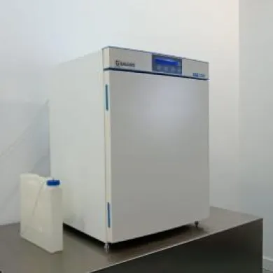 Labotect C 200 CO2 Incubator for In Vitro Fertilisation (IVF)