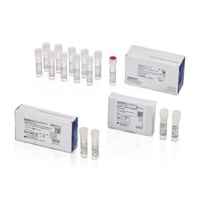 Applied Biosystems BigDye Terminator v1.1 Cycle Sequencing Kit-cover