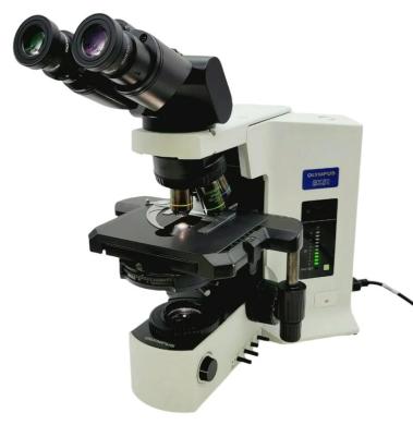 Olympus BX51 Upright Microscope with Fluorite Objectives, Phase Contrast, and Tilting Binocular Head-cover