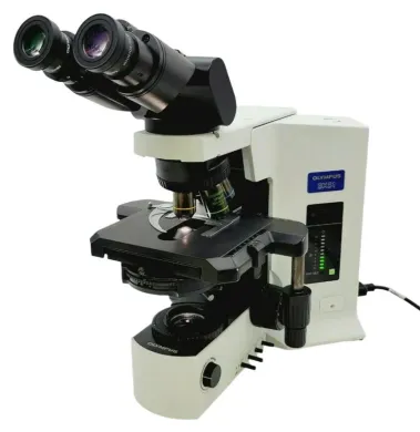 Olympus BX51 Upright Microscope with Fluorite Objectives, Phase Contrast, and Tilting Binocular Head