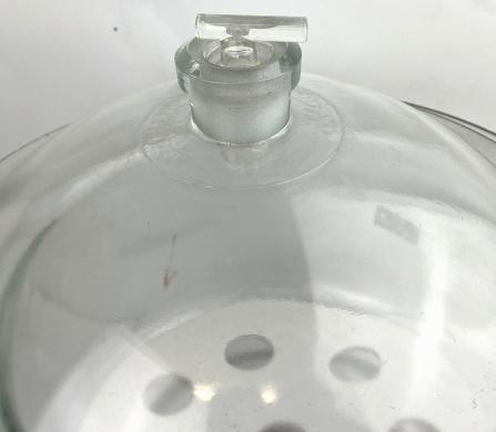 Glasswerk Wertheim 10.5L Borosilicate Glass Vacuum Desiccator with Support Plate-cover