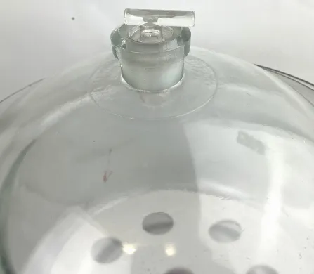 Glasswerk Wertheim 10.5L Borosilicate Glass Vacuum Desiccator with Support Plate