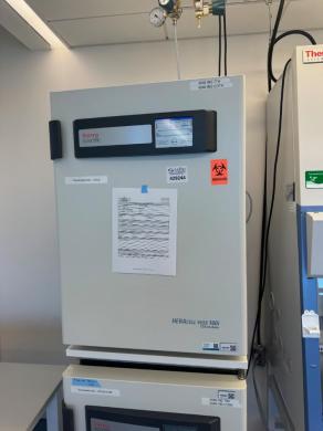 Thermo HERAcell vios 160i Double Stack CO2 Incubator-cover
