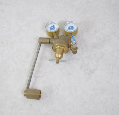 CO2 Pressure Regulator with Dual Gauge for Mixed Gas Supply