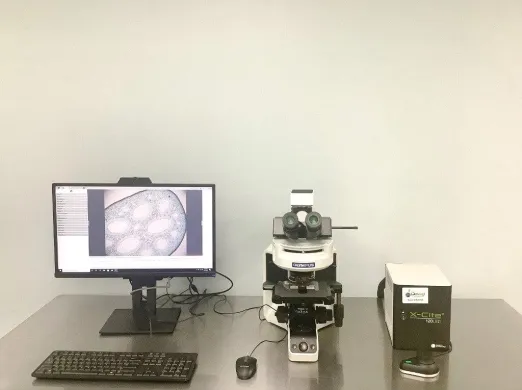 Olympus BX43F Upright LED Fluorescence Microscope with Integrated Imaging Workstation