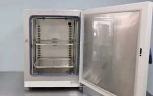 Thermo Scientific Heratherm Incubator IMH Series Protocol Incubator with Dual Convection, 6 of 10