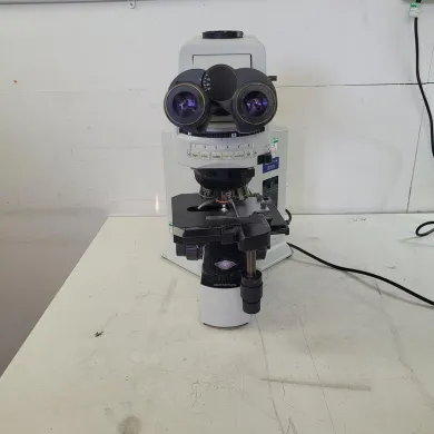Olympus BX51TF Upright Microscope for High-Resolution Biological Imaging
