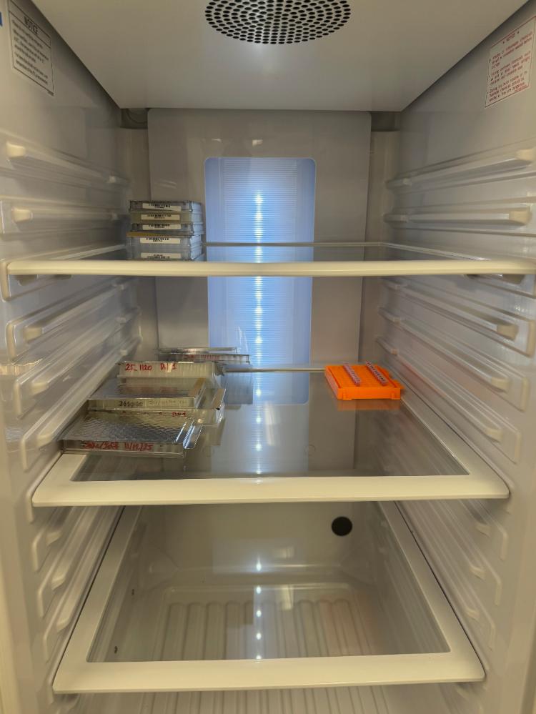 PHCBI MPR-N250FH Pharmaceutical Refrigerator with Glass Door for Controlled Storage