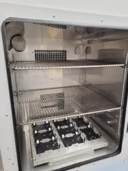 Thermo Scientific MaxQ 6000 SHKE6000-1CE Shaking Incubator for Controlled Cell Culture and Bioprocessing, 12 of 19