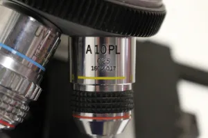 Olympus BH-2 Transmitted Light Fluorescence Microscope with Halogen and Fluorescence Illumination, 3 of 6